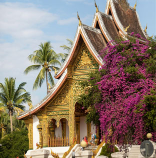 LVP Travels Home About Img 2