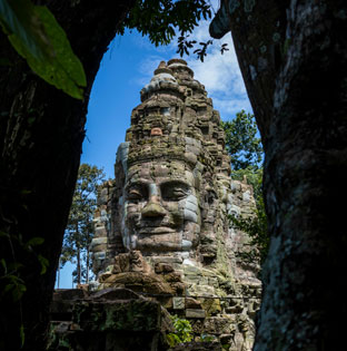 LVP Travels Home About Img 3